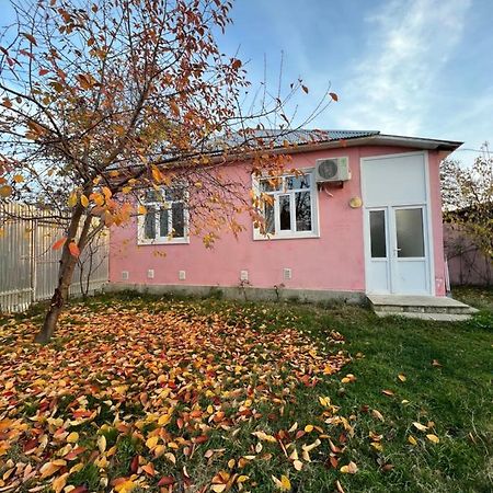 Qafqaz Resort Family House Qəbələ Exterior foto