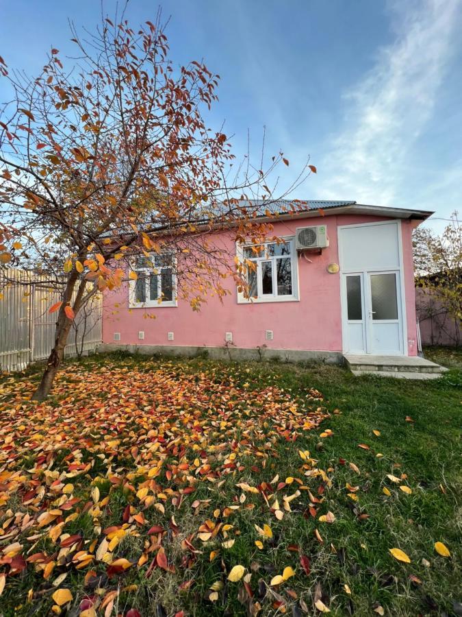 Qafqaz Resort Family House Qəbələ Exterior foto
